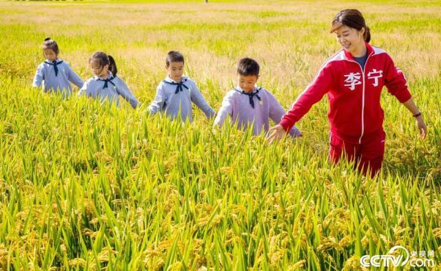 世界粮食日:各地开展“爱惜粮食”主题教育活动